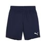 Puma teamGOAL Shorts Jr - blau