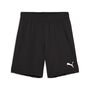 Puma teamGOAL Shorts Jr - schwarz