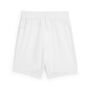 Puma teamGOAL Shorts Jr - weiss