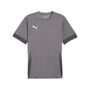 Puma teamGOAL Matchday  Jersey - grau