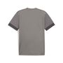 Puma teamGOAL Matchday  Jersey - grau