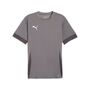 Puma teamGOAL Matchday  Jersey - grau