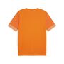 Puma teamGOAL Matchday  Jersey - orange
