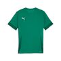 Puma teamGOAL Matchday  Jersey - gr�n