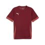 Puma teamGOAL Matchday  Jersey - rot
