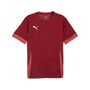 Puma teamGOAL Matchday  Jersey - rot