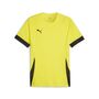 Puma teamGOAL Matchday  Jersey - gelb