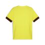 Puma teamGOAL Matchday  Jersey - gelb
