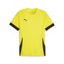 Puma teamGOAL Matchday  Jersey - gelb