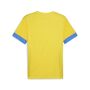 Puma teamGOAL Matchday  Jersey - gelb