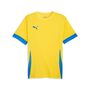 Puma teamGOAL Matchday  Jersey - gelb