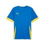 Puma teamGOAL Matchday  Jersey - blau