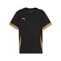 Puma teamGOAL Matchday  Jersey - schwarz