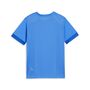 Puma teamGOAL Matchday Jersey jr - blau