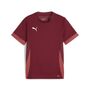 Puma teamGOAL Matchday Jersey jr - rot