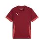 Puma teamGOAL Matchday Jersey jr - rot