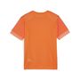 Puma teamGOAL Matchday Jersey jr - orange