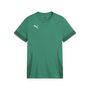 Puma teamGOAL Matchday Jersey jr - gr�n