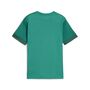 Puma teamGOAL Matchday Jersey jr - gr�n