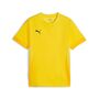 Puma teamGOAL Matchday Jersey jr - gelb
