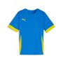 Puma teamGOAL Matchday Jersey jr - blau
