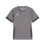 Puma teamGOAL Matchday Jersey jr - grau