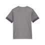 Puma teamGOAL Matchday Jersey jr - grau