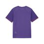 Puma teamGOAL Matchday Jersey jr - violett