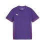 Puma teamGOAL Matchday Jersey jr - violett