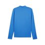 Puma teamGOAL Training 1/4 Zip Top - blau