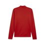 Puma teamGOAL Training 1/4 Zip Top - rot