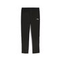 Puma teamGOAL Sideline Pant Wmn - schwarz