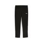 Puma teamGOAL Sideline Pant Wmn - schwarz