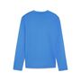Puma teamGOAL Training Sweat Jr - blau