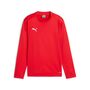 Puma teamGOAL Training Sweat Jr - rot
