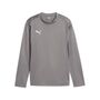 Puma teamGOAL Training Sweat Jr - grau