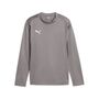 Puma teamGOAL Training Sweat Jr - grau