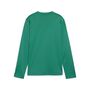Puma teamGOAL Training Sweat Jr - gr�n