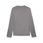 Puma teamGOAL Training Sweat - grau