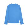 Puma teamGOAL Training Sweat - blau
