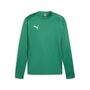 Puma teamGOAL Training Sweat - gr�n