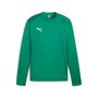Puma teamGOAL Training Sweat - gr�n