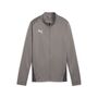 Puma teamGOAL Training Jacket Wmn - grau