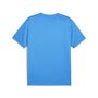 Puma teamGOAL  Jersey - blau