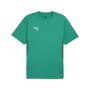 Puma teamGOAL  Jersey - gr�n
