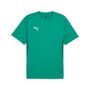 Puma teamGOAL  Jersey - gr�n