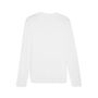 Puma teamGOAL Baselayer Tee LS - weiss