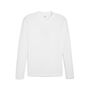 Puma teamGOAL Baselayer Tee LS - weiss