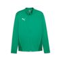 Puma teamGOAL Training Jacket - gr�n
