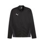 Puma teamGOAL Training Jacket - schwarz